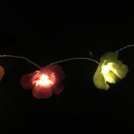 LED Blumen live letzte party