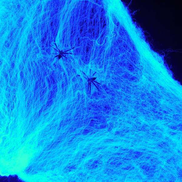 uv aktives Spinnennetz mit einer Spinne
